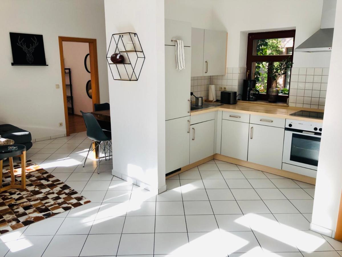 Ferienwohnungen Mit Terrasse In Zwingernaehe - Hilger Rentals Dresden Exteriör bild