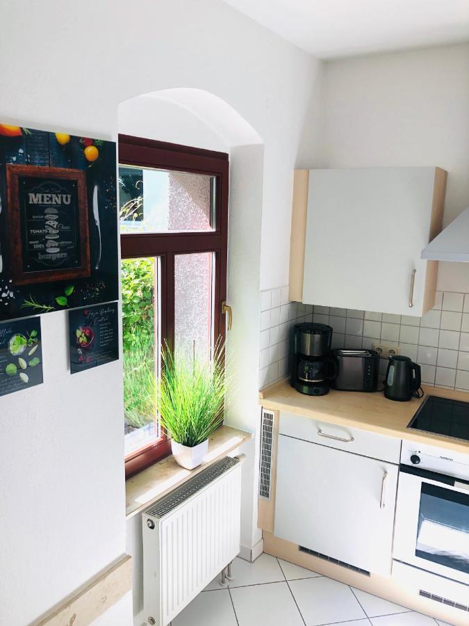 Ferienwohnungen Mit Terrasse In Zwingernaehe - Hilger Rentals Dresden Exteriör bild